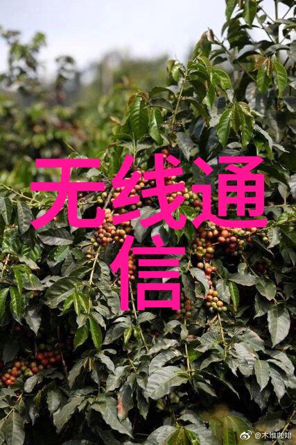 系统深度揭秘嵌入式开发中Linux的选择与应用