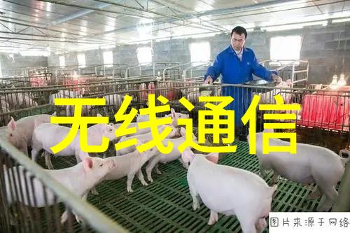 新锐启航嵌入式系统工程师的初次亮相