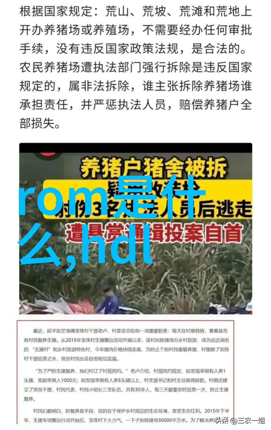 职业成长与业绩展望构建高效工作总结报告的艺术