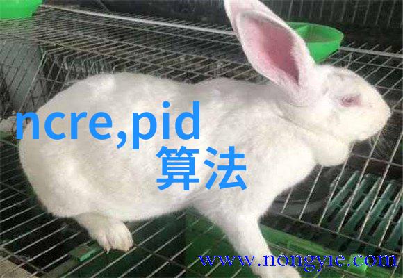 码量测定法的四种实用应用方法