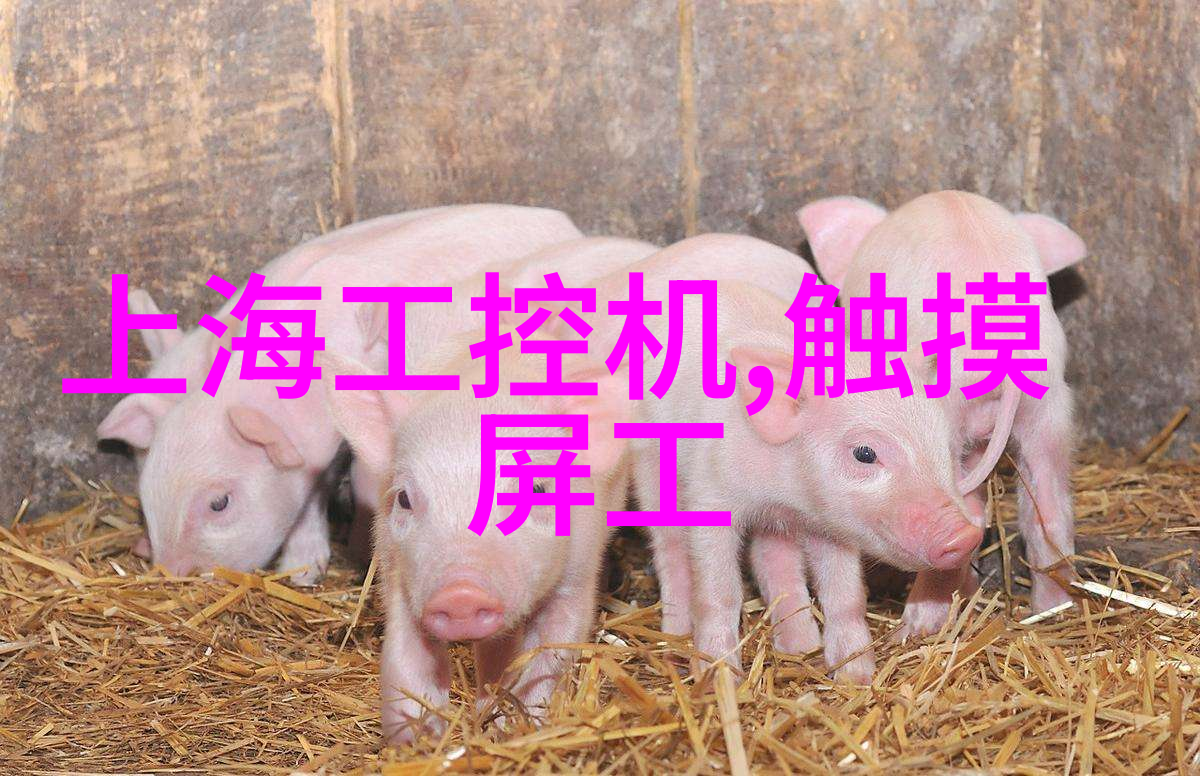 不锈钢的种类304201202410等不同类型的不锈钢材质