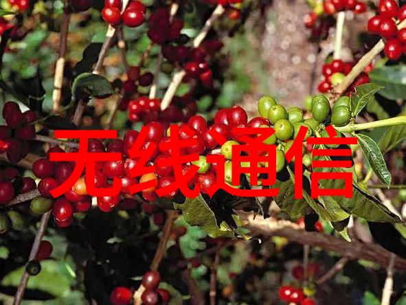 意法半导体发布创新红外传感器提升楼宇自动化的人员存在和移动检测性能