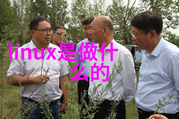 建造师之道从项目规划到施工管理的全方位指南