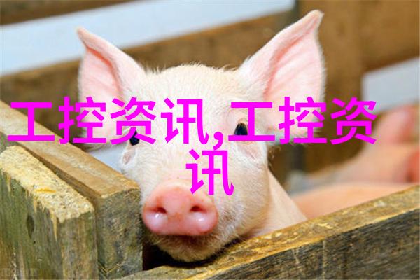 工业级胶囊剂生产设备的创新发展方向