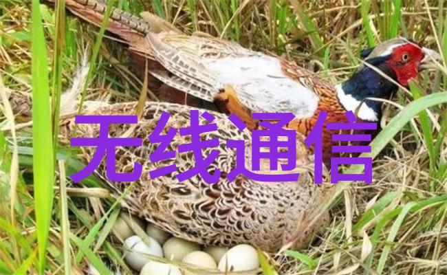 工控机柜系统确保工业自动化环境的稳定与高效