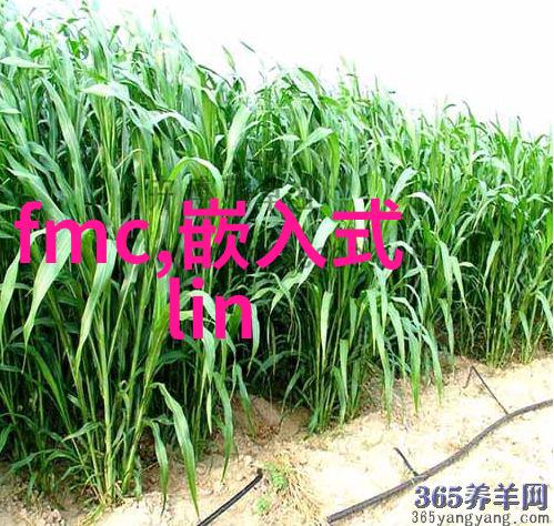 旧物新生工厂的回收奇迹