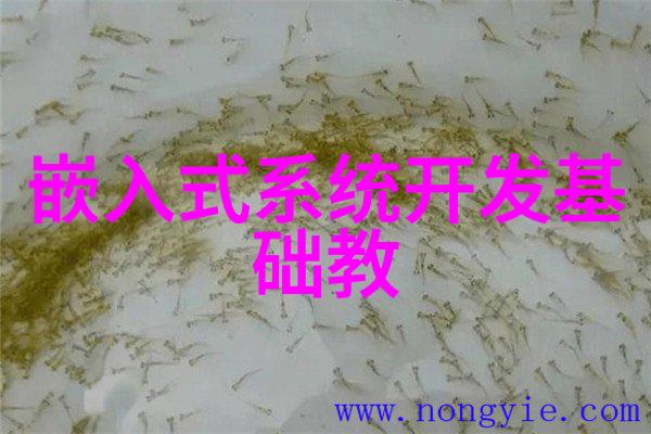 2023年度个人述职报告工作回顾与未来展望