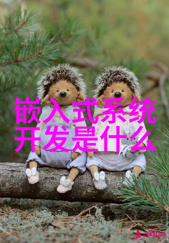 我和我的皮带输送机设备
