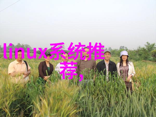 从简到繁复不同风格下的旧房翻新案例分析