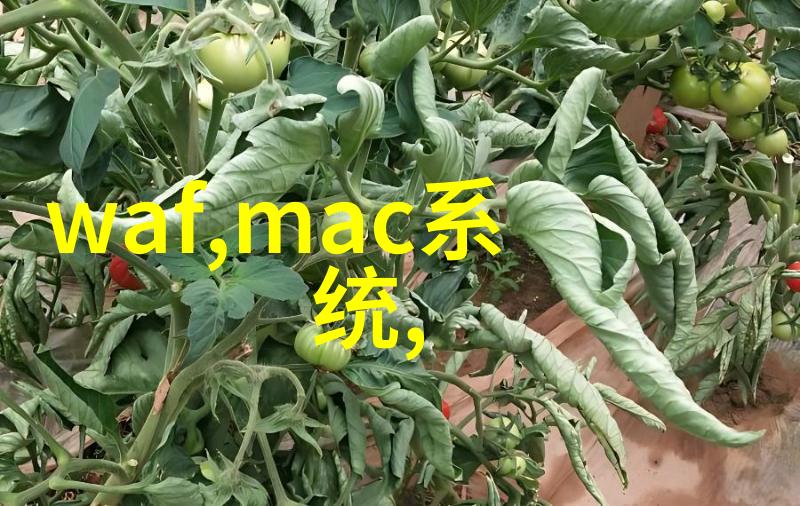 工信部备案查询系统助力企业信息管理与知识产权保护
