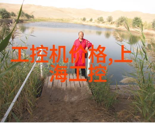 夏日时光一篇关于忽而今夏全文阅读的探索