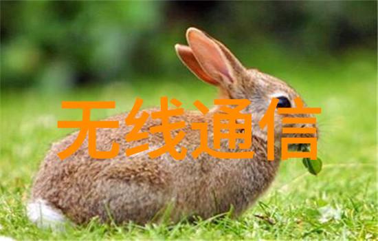 水质检测常规9项解析揭秘必检项目