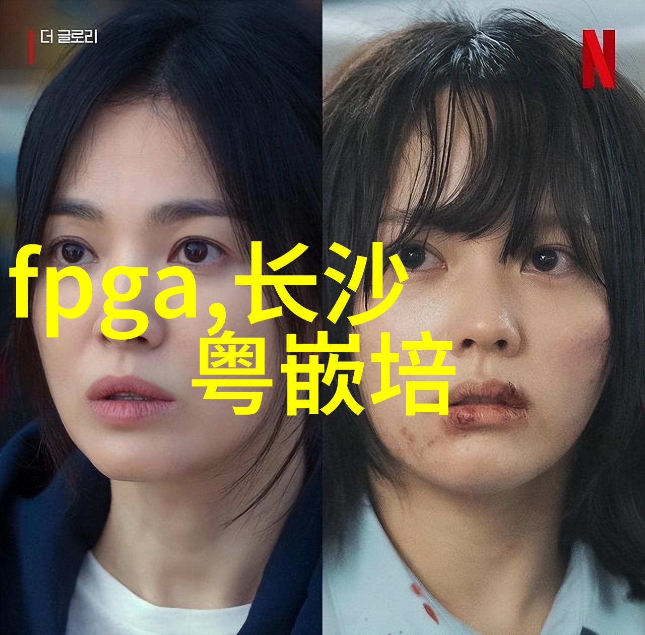 热风干燥设备我是怎么用它让水果干得更香
