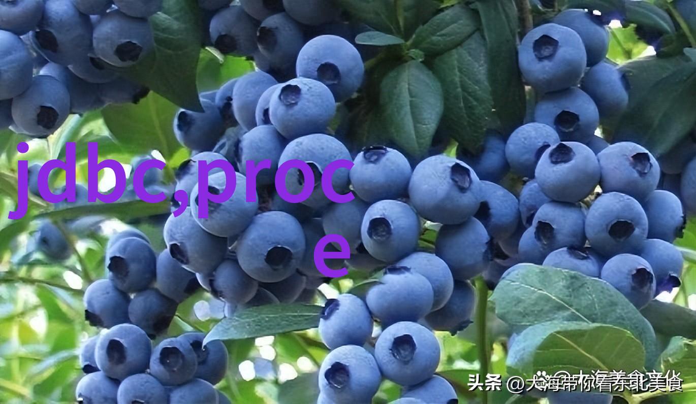 龙语破魔探秘极品言灵师的神秘世界