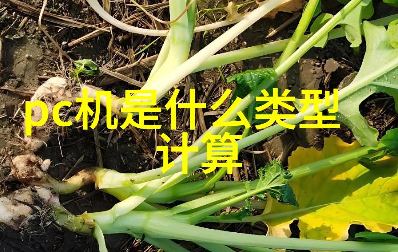 洛希极限宇宙航行的物理界限