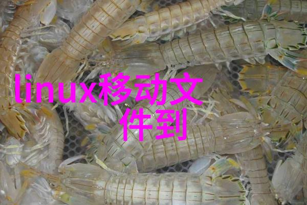 企业微信从办公室到社交平台的奇妙逆袭