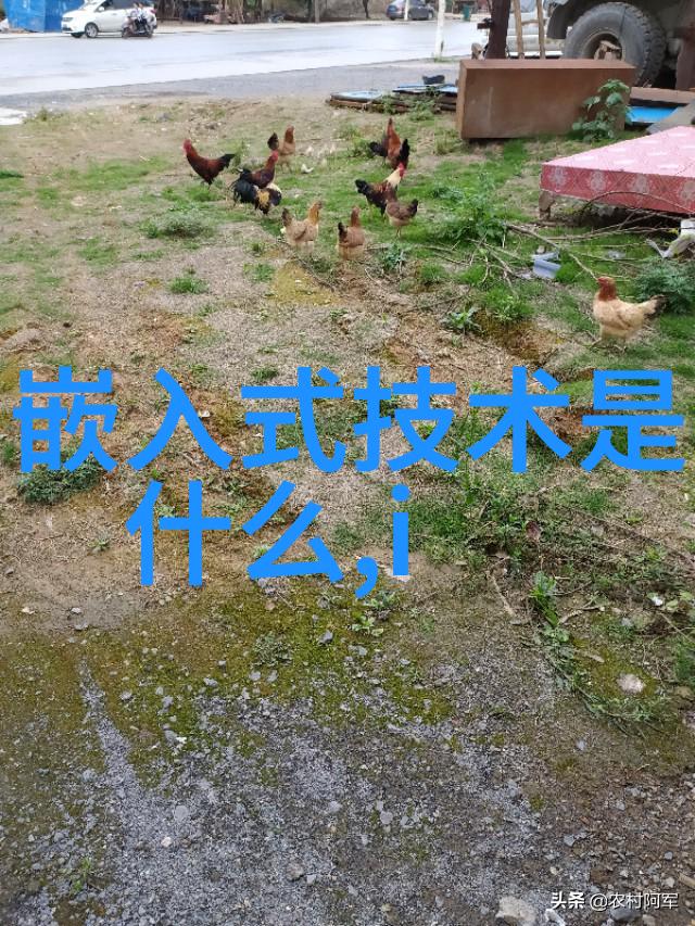 芯片概念股一览名单引领潮流倪光南院士倡导RISC-V开源激发集成电路产业链革新
