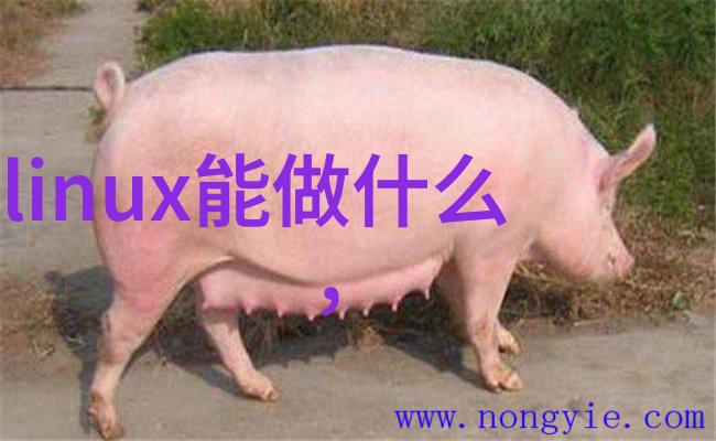 水电安装师傅接单平台-触电易发如何安全使用水电安装师傅接单平台