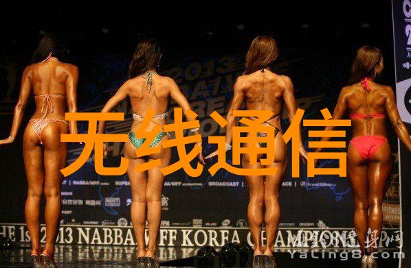 软件开发之钥解锁无限可能