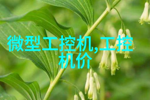 螺杆泵技术高效的液体输送解决方案