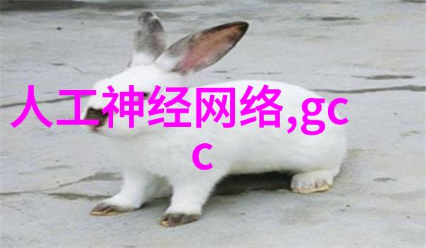 如何进行粉土机筛土一体机的日常维护保养以延长其使用寿命