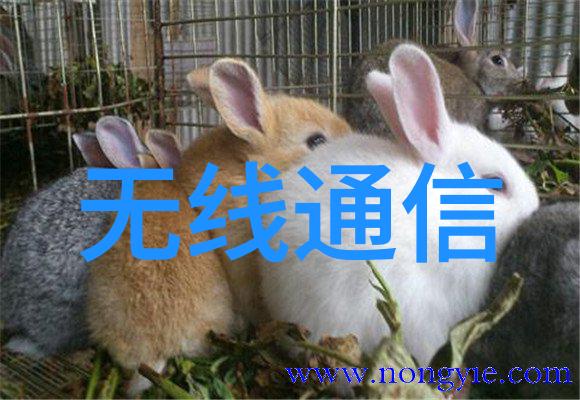 工控机维修从零到英雄转眼就成了电路大侠