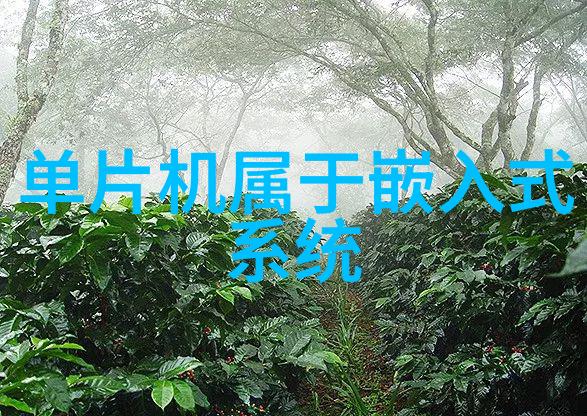 工业呼啸不锈钢加工厂的夜晚守望者