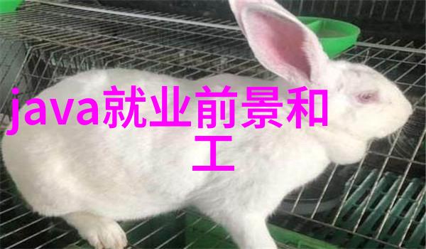 智能装备与系统专业的未来工程师掌握科技创新之钥