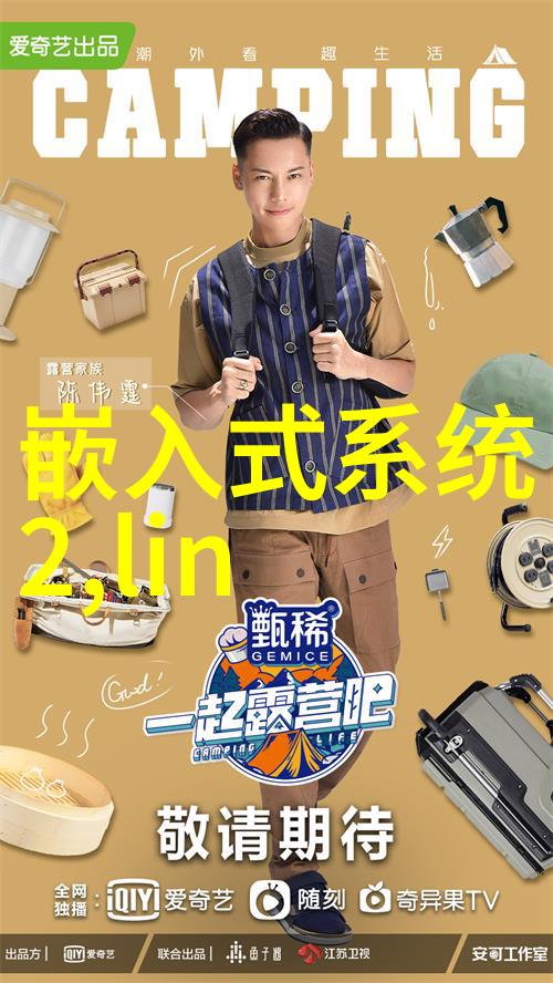 国内芯片公司排名前十-领航者揭秘中国顶尖芯片巨头的创新之路
