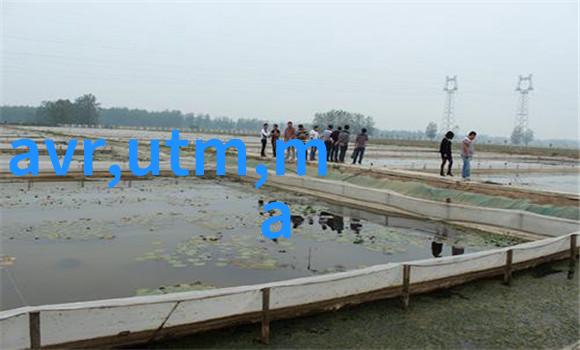 工业净化之星脉冲袋式除尘器的魅力与实效