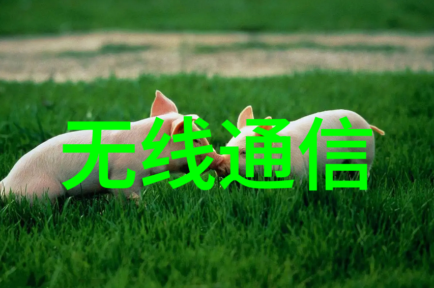 微观宇宙中的智慧织网嵌入式应用系统的无形编织