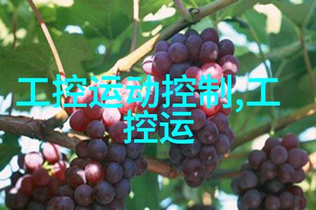 主题我来告诉你嵌入式开发软件有哪些