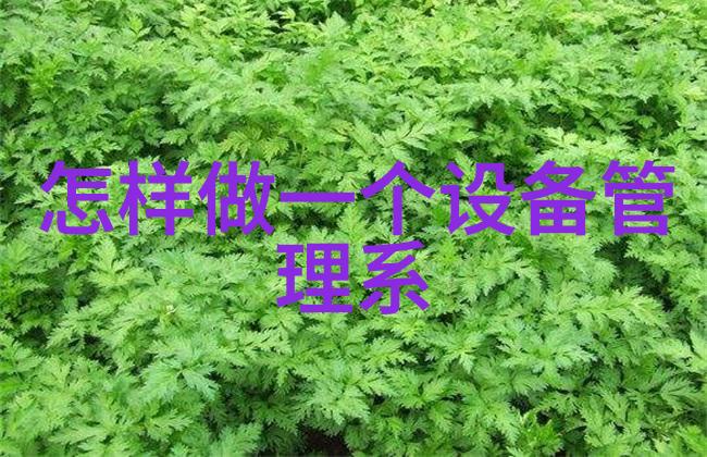 空气分离二氧化碳设备我是如何用碳宝让家里变绿色的