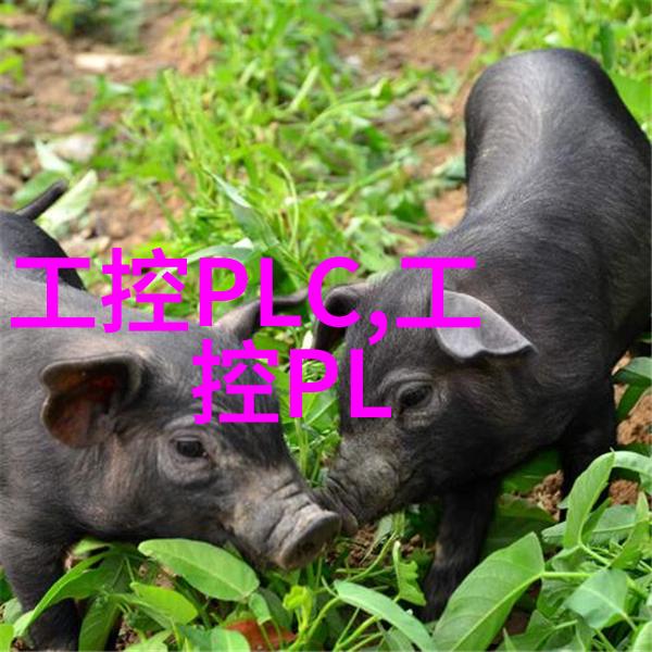 工控运动控制系统的研究与应用