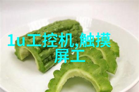 反应器内部构件揭秘化学变化的关键部件