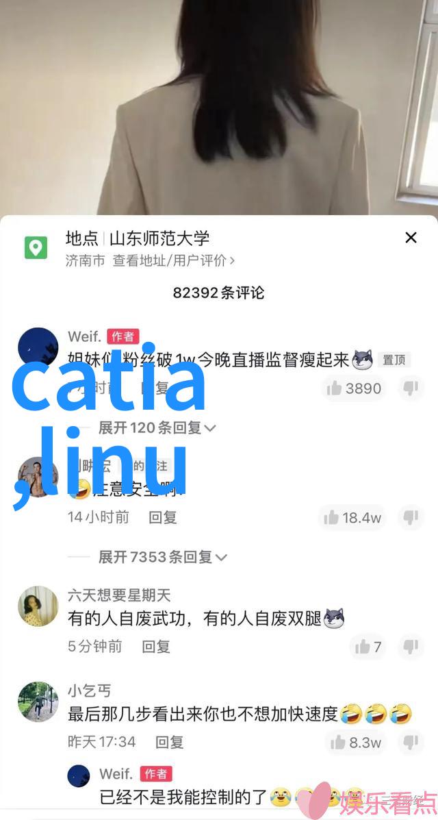 古典家居风格通体砖面墙时尚的古典壁面装饰