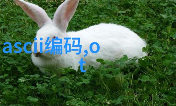 机翼穿梭输送机设备的高速舞蹈