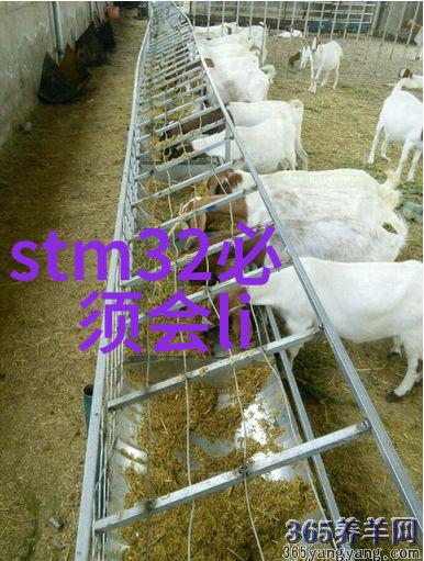 化工设备布置图详细设计精确布局的化工生产线规划