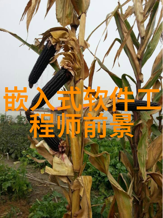 学水利水电后悔死了 - 泪流成河的工程师我为什么选择了错误的职业道路