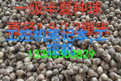心境轻松思无邪安意如探索内心平和的艺术