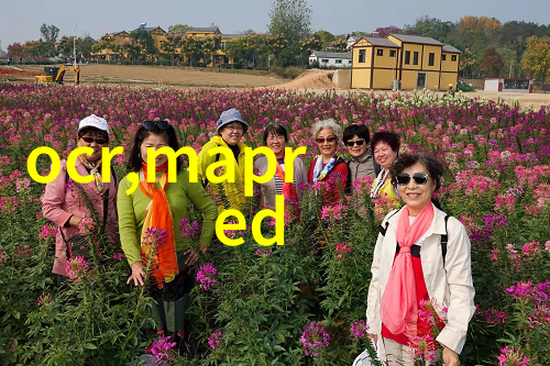 精确控制化工生产中的关键计量设备