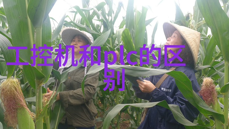 PE管材的选择与应用材料特性与工程实践