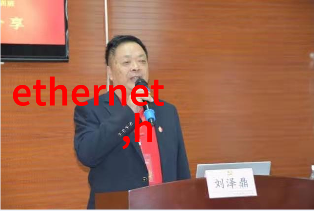 乡土韵味与现代风格相融探索农村房子装修效果图片的创意之旅