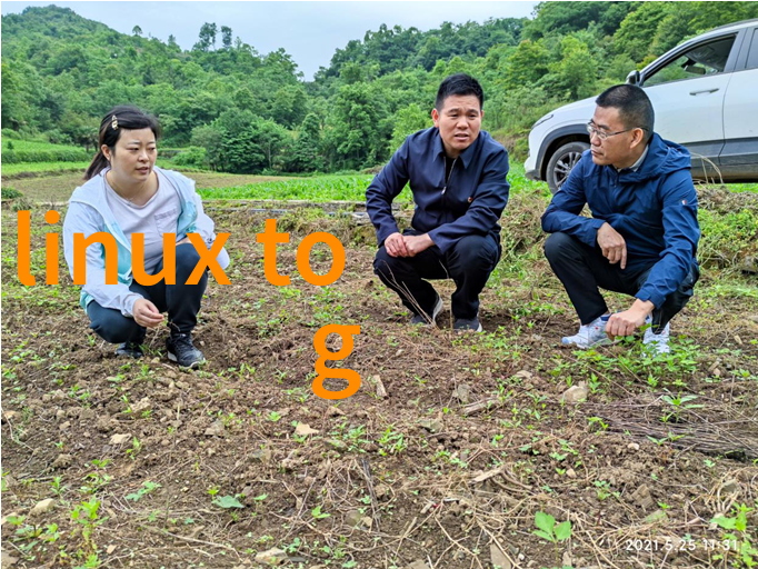 LCM-DG型长袋脉冲布袋除尘器工业除烟除味净化器专为物品处理场景设计
