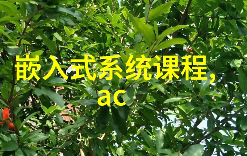 中南财经政法大学的学术地位探究985与211工程的对比分析