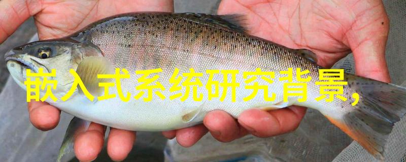 智能输送方案轻松解决你的运输难题