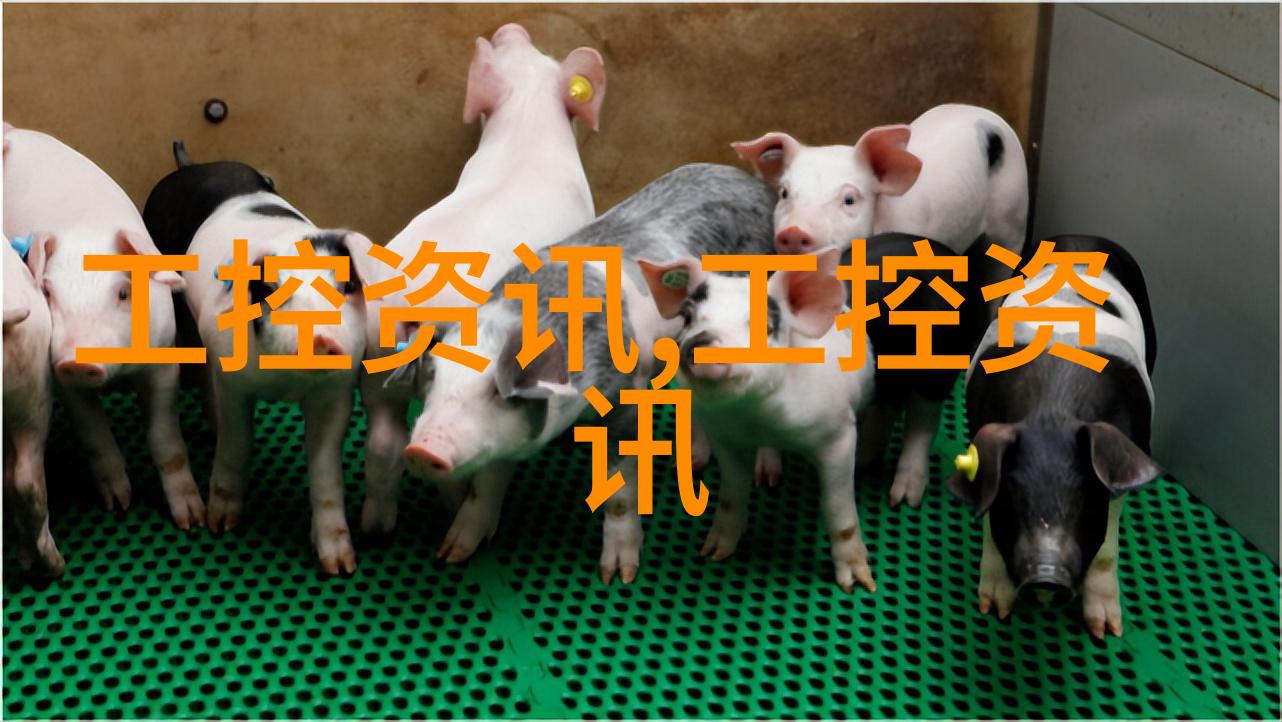 新年新策全城核酸网点升级保障民众健康安全