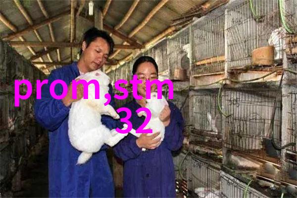 装修基础工作水电路改造与平整地面