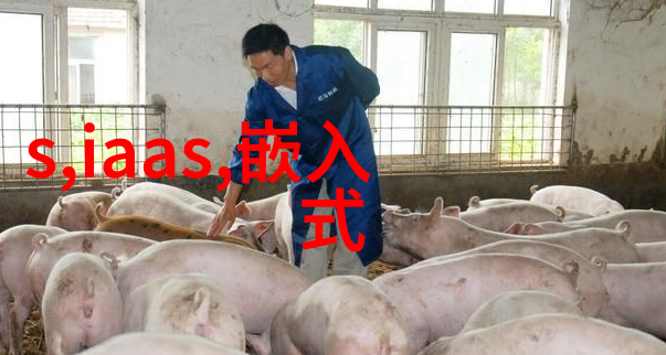 医疗创新穿戴在身边的健康守护者
