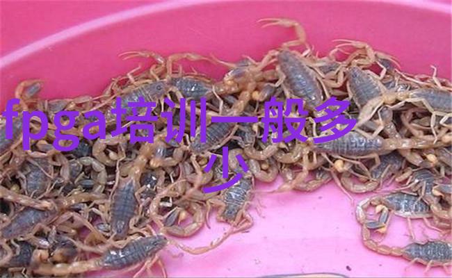 管径探秘反应器尺寸之谜解析